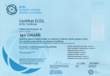 ECDL (1/2)